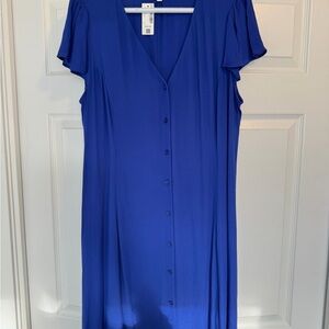 Reitmans Blue Button-Down Dress